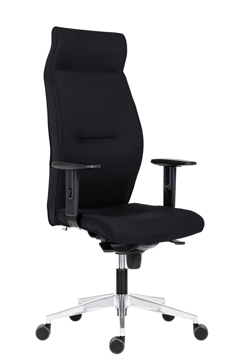 Juhitool ANTARES LEI 1824, must
