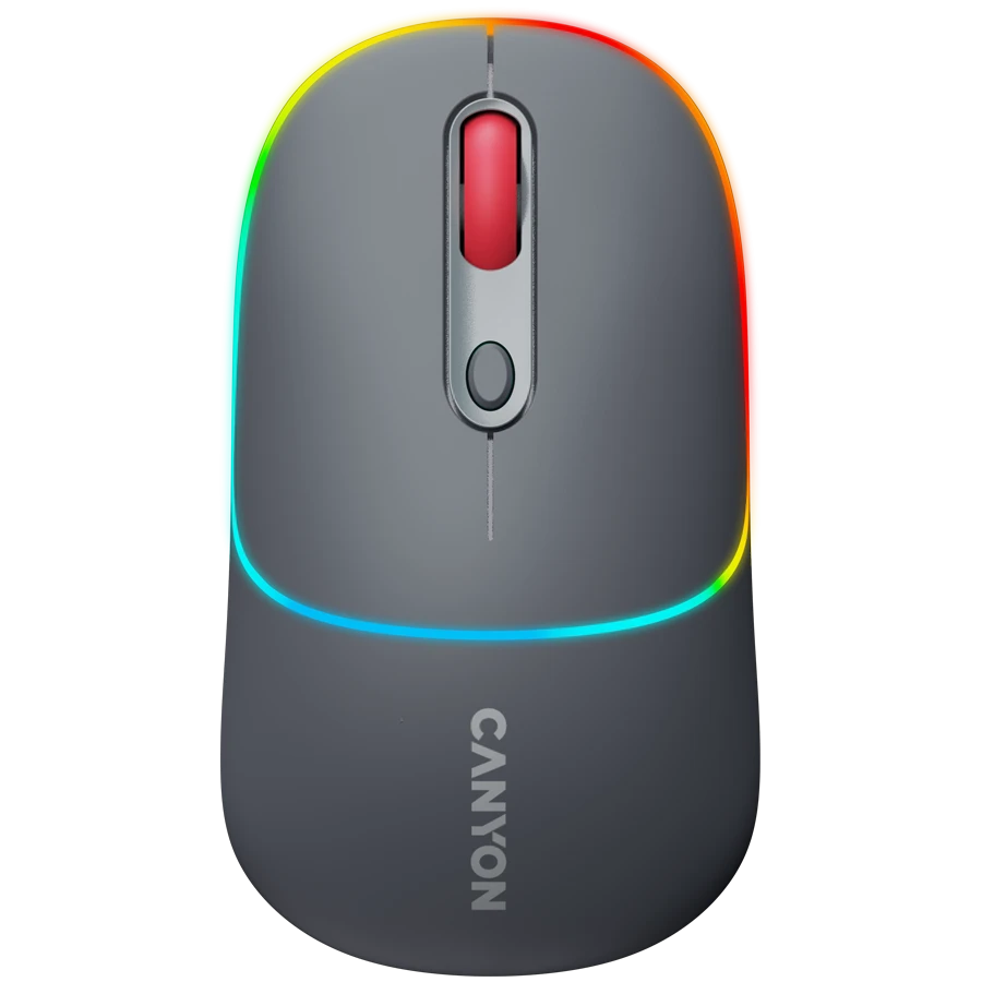 CANYON mouse MW-22 2in1 BT/ Wireless Dark Grey