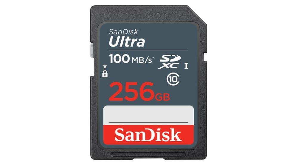 MEMORY SDXC 256GB UHS-I/SDSDUNR-256G-GN3IN SANDISK