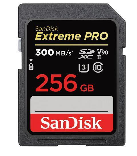 MEMORY SDXC 256GB UHS-II/SDSDXDK-256G-GN4IN SANDISK