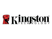 KINGSTON 512GB 220MB/s Metal USB 3.2 Gen