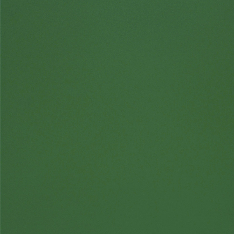 Värviline paber OLIN, 70 x 100 cm, 240 g/m2, tumeroheline, 1 leht (kogus 2 tükki)