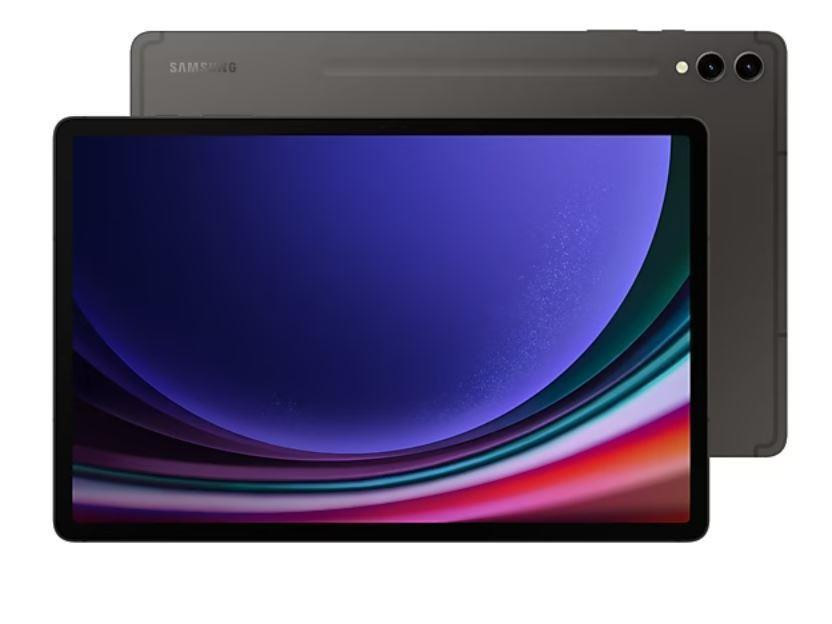 Samsung Galaxy Tab S9+ SM-X810N Qualcomm Snapdragon 256 GB 31,5 cm (12.4") 12 GB Wi-Fi 6 (802.11ax) Android 13 Grafiit