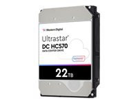 WESTERN DIGITAL Ultrastar DC HC570 22TB
