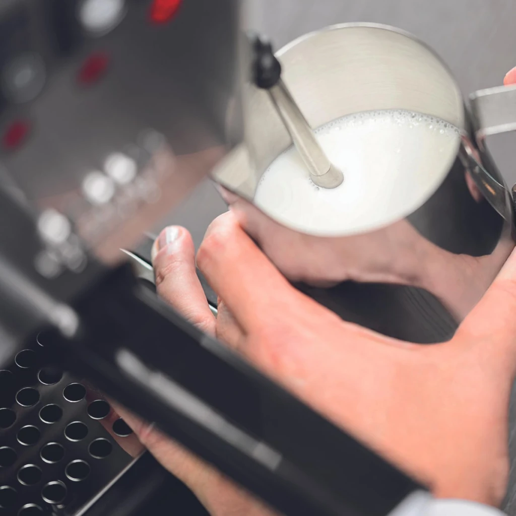 Gaggia | Coffee Maker | RI9481/11 Classic E24 | Pump pressure 15 bar | Built-in milk frother | Semi-automatic | Brushed Stainless Steel